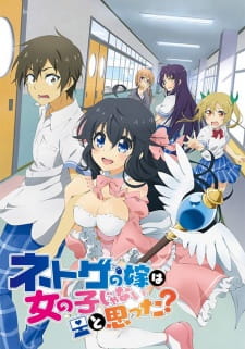 netoge-no-yome-wa-onnanoko-ja-nai-to-omotta