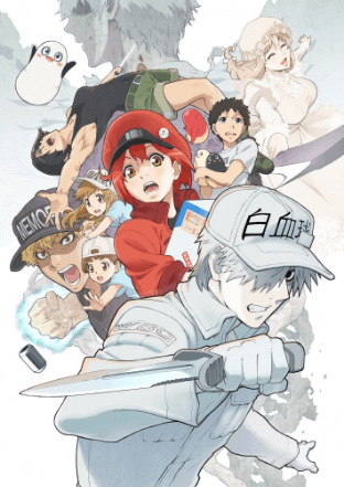 hataraku-saibou