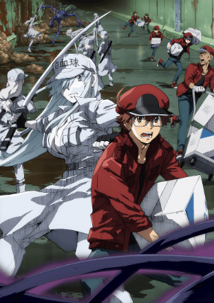 Hataraku Saibou Black (TV) 