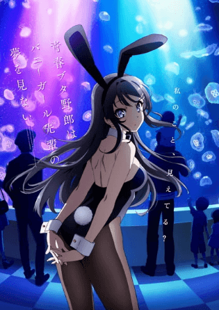 Seishun Buta Yarou wa Bunny Girl Senpai no Yume wo Minai image poster hd